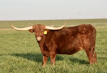 TS Fiona