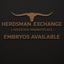 Garland's ROI x Steel Rim Rock