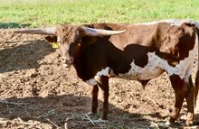 TS Mudslinger 22/24