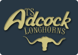 TS Adcock logo